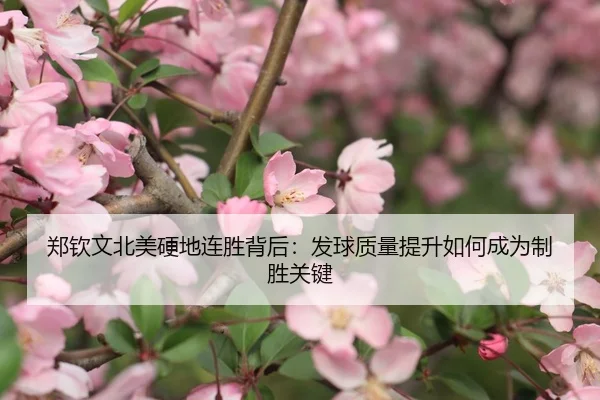 郑钦文北美硬地连胜背后：发球质量提升如何成为制胜关键